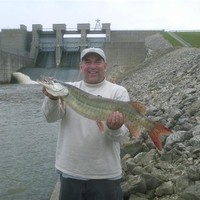 Tim Plymale