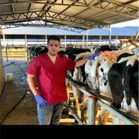 Agustin Melano