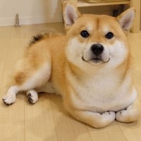 李博雅
