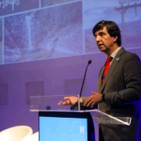 Rafael Amorim