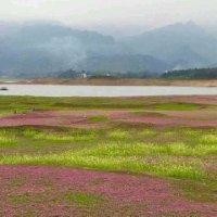 陆海勤