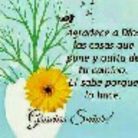 Joselyn Alba