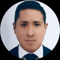 Christian Vidal Falcon