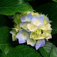 温换玲