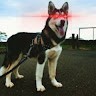 Ragnar, O Bitcão