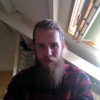 Niek van Losenoord