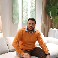 Sayed Nasr