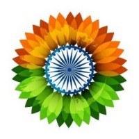 Avinash Enterprises