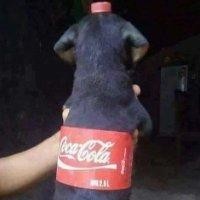 徐光华