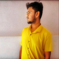 Kalanithi Raman V