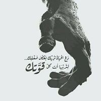 Mohamed Mahmoud