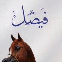 Faisal Alzabn