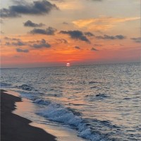 اسماء المهوس