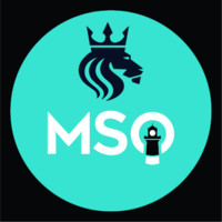 Msq Partners