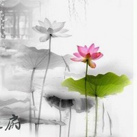 郭慧红