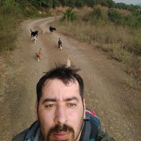 Burak Bölek