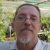 Tim Rogers