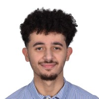 Adel Amer