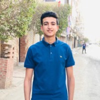 Seleem Mostafa