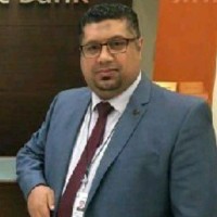 Moustafa Elmeleigi