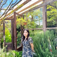 Hương Vũ