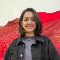 Elmira Yousefi