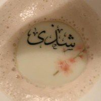 Shatha Aljuraifani