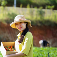 Đan Thị Ngọc Anh