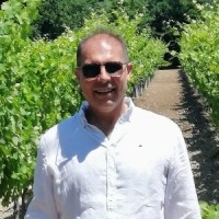 Giorgio Vergona