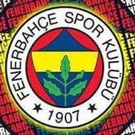 Orhan Orhan