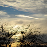 Thijs Bosma