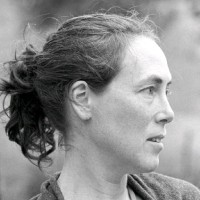 Julia Hytteborn