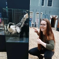 Hanneke Van Der Meer