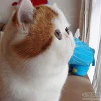 Xing Zou