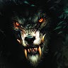 wolf of the night