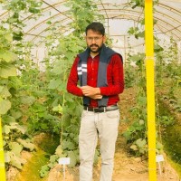 Anees Manzoor