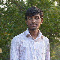 Koushik Roy