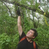 Steven Pillman