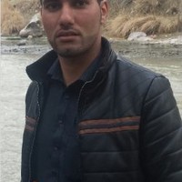 naveed safi