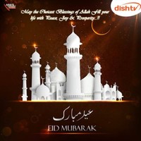Www.Dishgulf.Com Zohaib Dishgulf Recharge