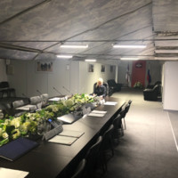 Даниэла Воронина