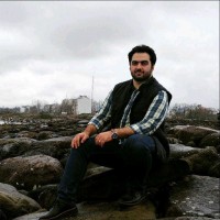 mohamad alaee