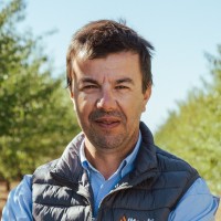Rui Amante