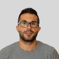 Vicente Palau Olmedo