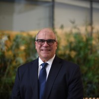 Ray Mitrano