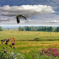 Юлия Серебрякова