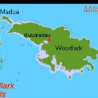 Woodlark Local Surveyors