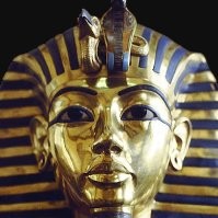 Kricopol Condrea Dan