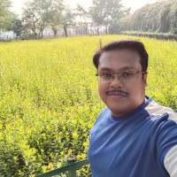 Ronit Majumdar