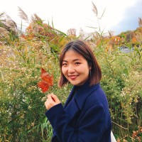 WEI QI